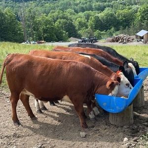 Meet your Posher, Zach